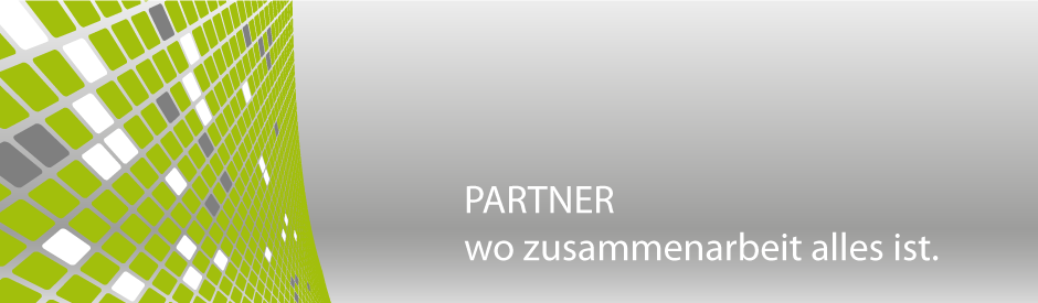 die Prozessberater